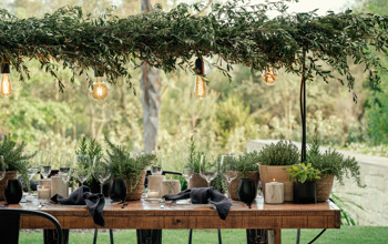 Outdoor elegant event with wooden table black napkins and green pot plants