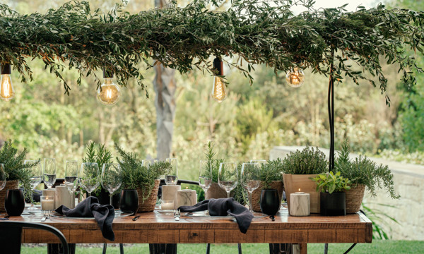Outdoor elegant event with wooden table black napkins and green pot plants