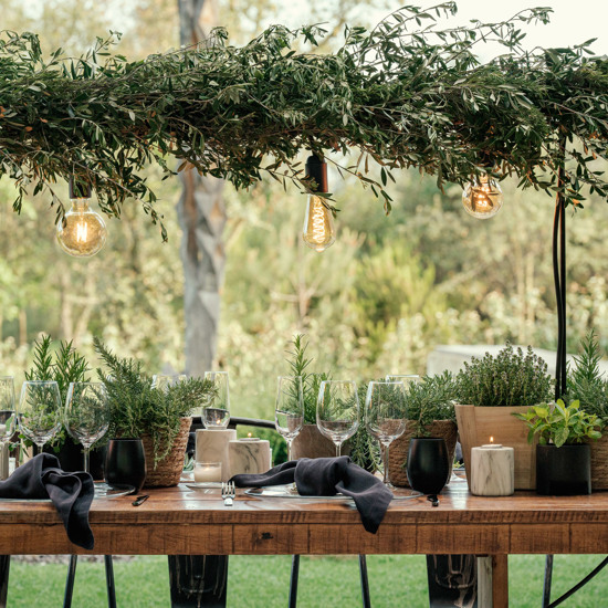 Outdoor elegant event with wooden table black napkins and green pot plants