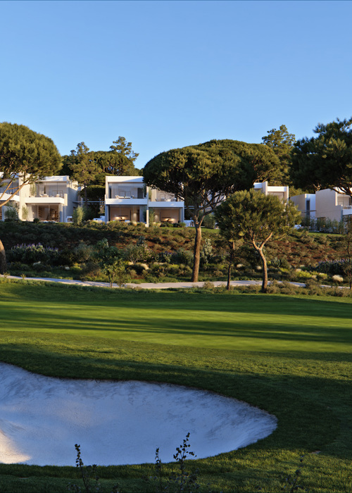 4 CAM Horizontal Sunset01 Mod Mulch MQ 01