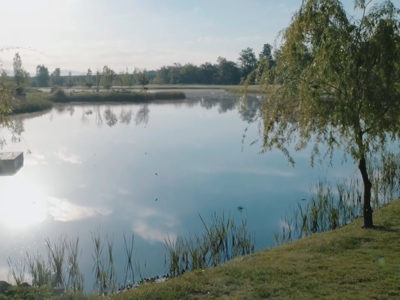 Discover Video Header