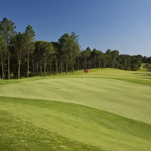 Full Hoyo04183 7E0492153077effe8f83ac07298cea91