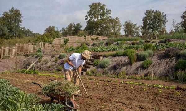 Kitchengarden12 Large