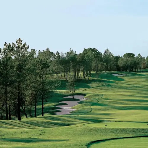 Full Hoyo18504 80F30bf89f807bbcd6d31b6093010d2c