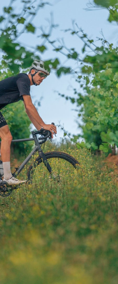 Camiral Golf And Wellness Activities Cycling Vineyards 1 Large
