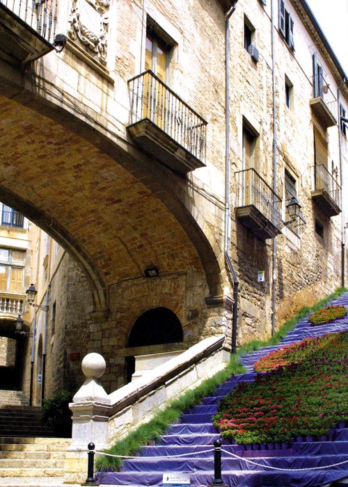 Best Destination in Camiral a Quinta do Lago