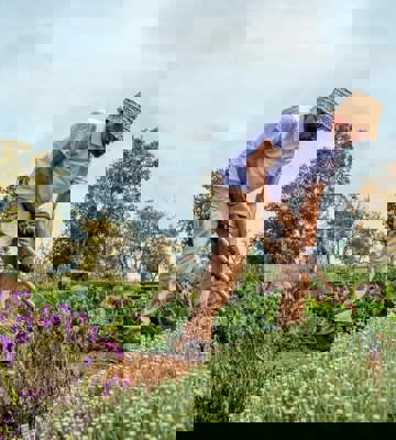 Local Farmer Working in Organic Garden Near Hotel Camiral in Girona