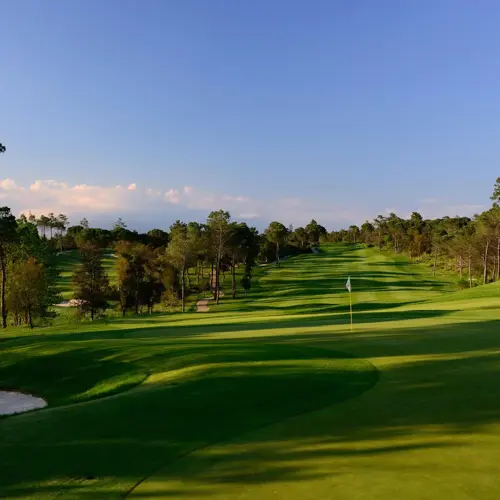 Full Hoyo05429 5Fd81dbaa262a8537e5a2a3ef8013b79