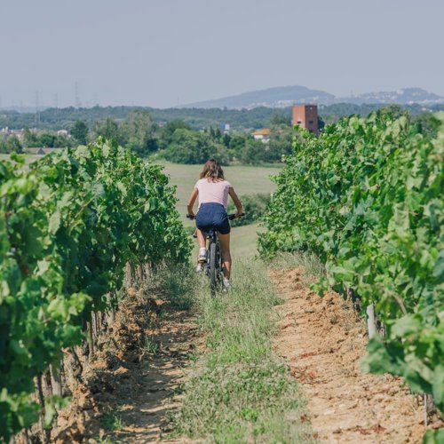 Cycling for Residents at Camiral, A Quinta do Lago Resort, in Girona