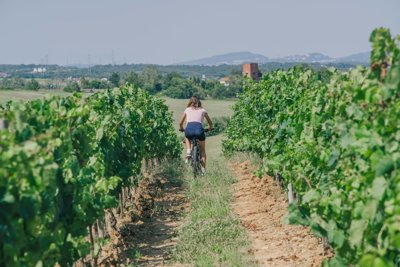 Cycling for Residents at Camiral, A Quinta do Lago Resort, in Girona