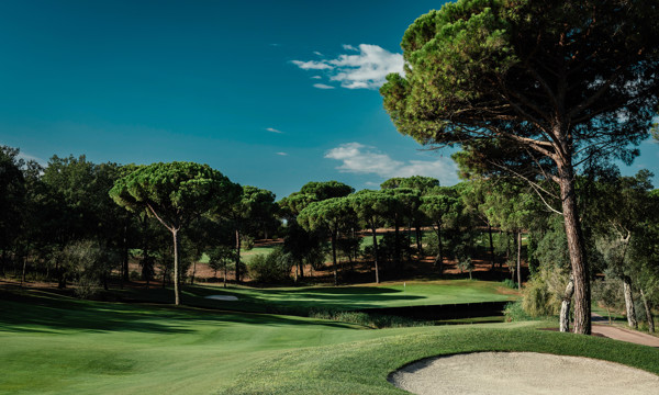 CAMIRAL 62A2850 Copy