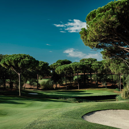 CAMIRAL 62A2850 Copy