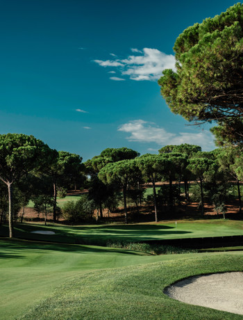 CAMIRAL 62A2850 Copy