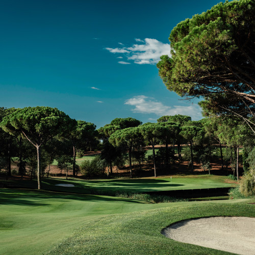 CAMIRAL 62A2850 Copy