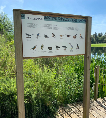 Bird Watching at Camalya in Girona