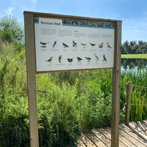 Bird Watching at Camalya in Girona