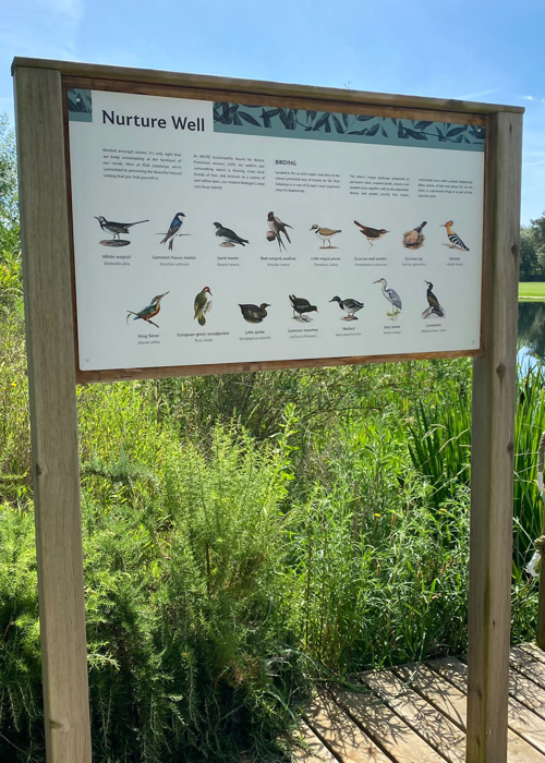 Bird Watching at Camalya in Girona