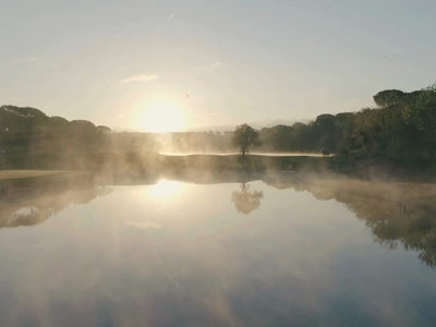 Real Estate Video Header