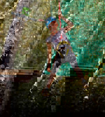 Forest Park Large (2) Min