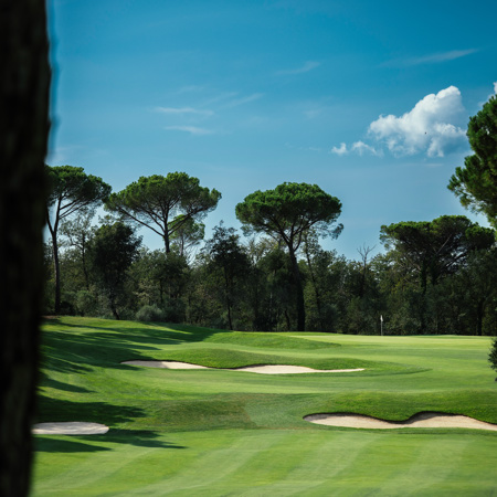 CAMIRAL 62A4431 Copy