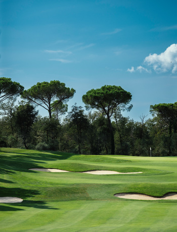 CAMIRAL 62A4431 Copy