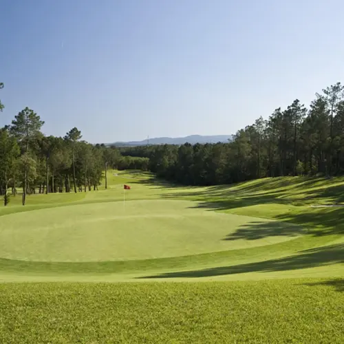 Full Hoyo06513 2F0aeb6b5eb8ce3a95a8c84590959605