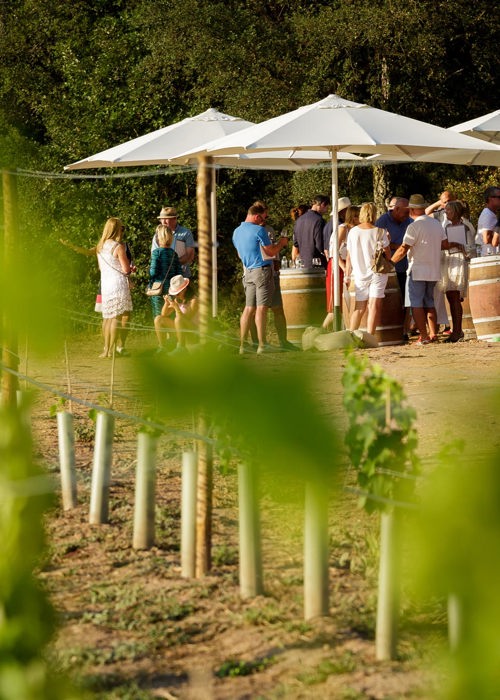 Hotelcamiral Activities 2