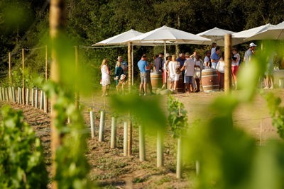 Hotelcamiral Activities 2