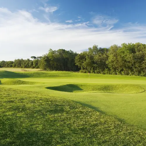 Full Hoyo14281 6A9aeb42a3105f3211a796e98769b2eb