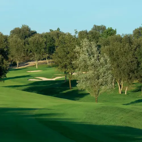 Full Hoyo07204 9F79ee6cd3e5ce5c14318da61076b92b