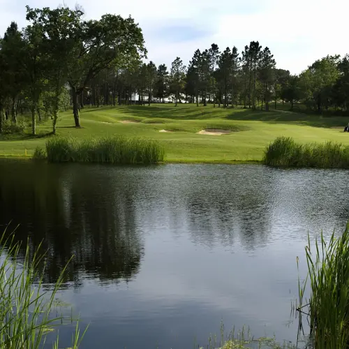 Full Hoyo16904 4253D402edee2cec7e91b0820964f5d9